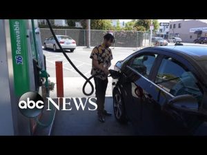 Read more about the article Few options for US to reduce price of gas