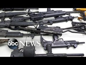 Read more about the article ‘These kids are being marketed militarized weaponry’: Texas state senator | ABCNL
