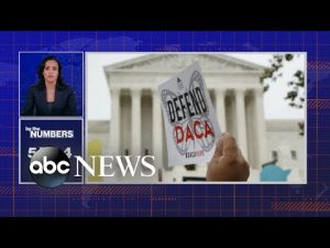 Read more about the article By the Numbers: 10 years of DACA