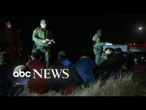 Read more about the article Operation Lone Star’s human and economic toll | ABCNL