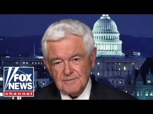 Read more about the article Gingrich blasts Democrats’ refusal to pivot from doctrine