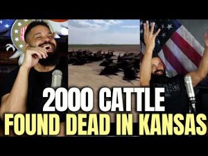 Read more about the article 2000 Cattle Found Dead In Kansas