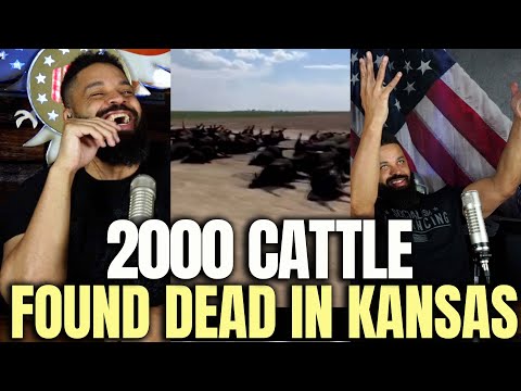 You are currently viewing 2000 Cattle Found Dead In Kansas