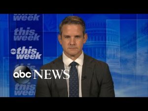 Read more about the article ‘My party has utterly failed the American people’: Rep. Adam Kinzinger | ABC News