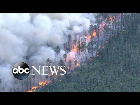 You are currently viewing Thousands of acres burned in southern New Jersey wildfire