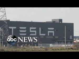 Read more about the article Former employees file lawsuit against Tesla for allegedly violating federal law