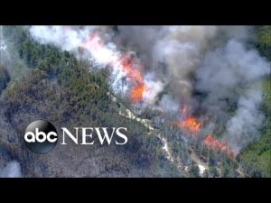 Read more about the article Southern New Jersey wildfire continues to rage