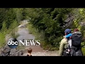 Read more about the article Bear stalks family along hiking trail