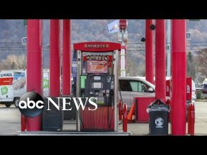 Read more about the article Biden calls on Congress to suspend federal gas tax for 3 months l ABCNL