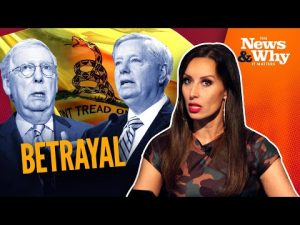 Read more about the article 14 ‘Republican’ Senators ADVANCE Gun-Grabbing Agenda | The News & Why It Matters| 6/22/22