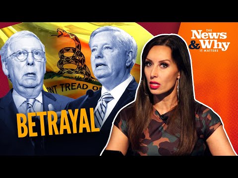 You are currently viewing 14 ‘Republican’ Senators ADVANCE Gun-Grabbing Agenda | The News & Why It Matters| 6/22/22