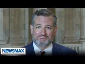 Read more about the article Ted Cruz: This is the priority of Chuck Schumer and it’s the wrong approach | The Balance