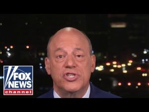 Read more about the article Every Democrat will jump into the water: Former WH press secretary