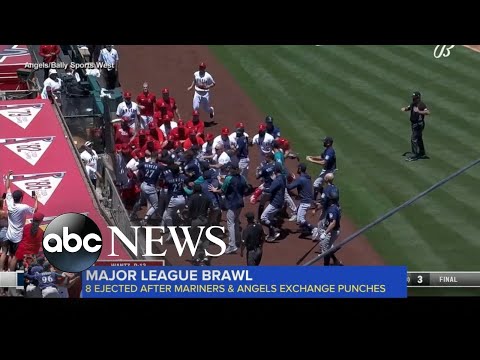 You are currently viewing Major league brawl