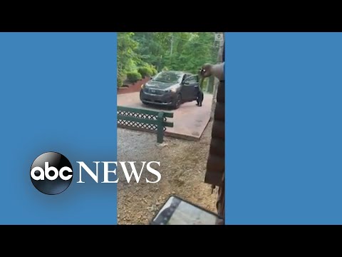 You are currently viewing Bear surprises couple on their wedding anniversary l ABC News