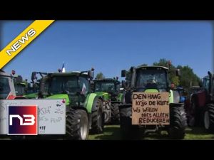 Read more about the article Farmers Seen STICKING The Middle Finger Up to Green Activists With Their Tractors