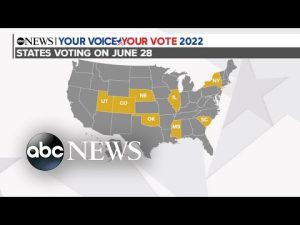 Read more about the article Voters head to polls for new round of primary elections l ABCNL