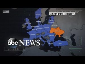 Read more about the article ABC News Live: Biden delivers remarks at end of NATO summit