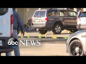 Read more about the article Big city mayors on challenges and potential solutions to reducing gun violence | ABCNL
