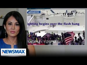 Read more about the article Filmmaker exposes another big lie about Jan. 6 | “Greg Kelly Reports”