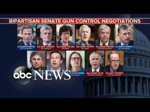 Read more about the article Testimonies from gun violence survivors hope to sway lawmakers