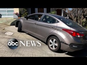 Read more about the article San Francisco couple allowed to use driveway after being fined $1,500