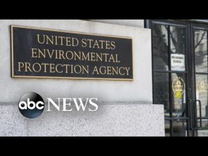 Read more about the article Climate activists warn of dangers after Supreme Court ruling on EPA