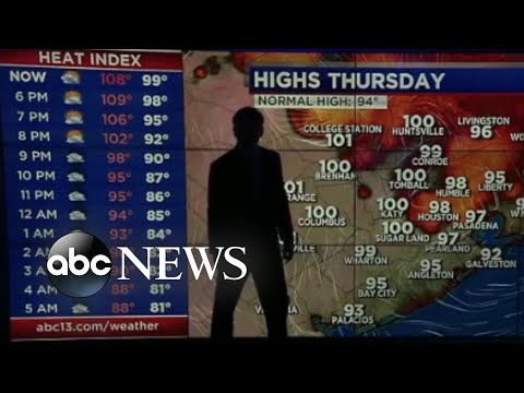 You are currently viewing Live on-air news bloopers