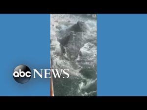 Read more about the article Cruise ship hits iceberg en route to Alaska