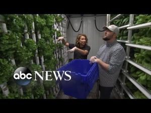 Read more about the article It’s not too late: The future of farming? l ABCNL