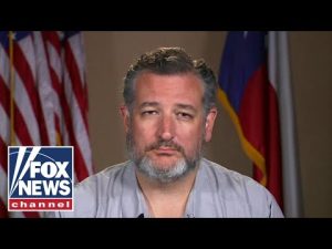 Read more about the article This is utter chaos: Ted Cruz