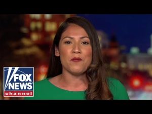 Read more about the article Democrats think we’ll vote for them if they talk about tacos: GOP candidate