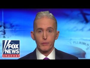 Read more about the article Trey Gowdy: Most Americans don’t want a repeat of the 2020 race