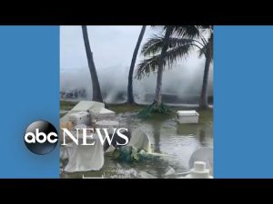Read more about the article Big wave wipes out wedding reception