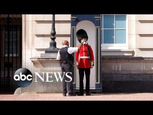 Read more about the article Britain heat wave, NASCAR, France wildfires: World in Photos, July 18