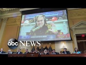 Read more about the article ABC News Live: Jury selection begins in case against Steve Bannon
