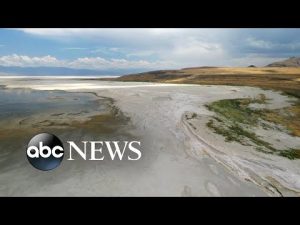 Read more about the article Great Salt Lake dry-up causing dangerous climate ripple effect, ecologists say l ABCNL