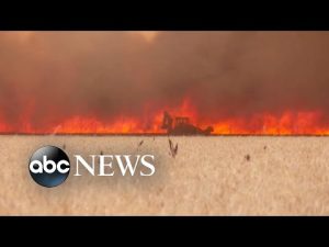 Read more about the article French officials warn of ‘heat apocalypse’ as temps reach 109 degrees