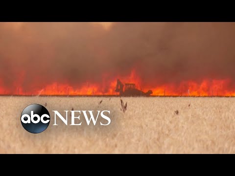 You are currently viewing French officials warn of ‘heat apocalypse’ as temps reach 109 degrees