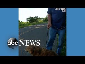 Read more about the article Trooper rescues dog from drainage pipe