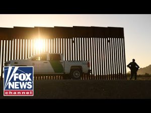 Read more about the article Tucker Carlson: Huge immigration crisis ‘making up the difference’ of American fertility decline