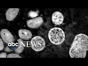 Read more about the article Tracking the exploding cases of monkeypox