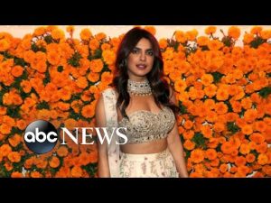 Read more about the article Priyanka Chopra Jonas dishes on her new South Asian food venture | Nightline