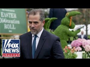 Read more about the article Hunter Biden’s federal probe reaches key point