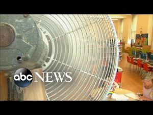 Read more about the article Deadly heatwave continues to rock US | WNT