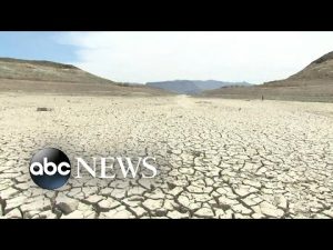 Read more about the article NASA releases startling image of Lake Mead shrinkage | WNT