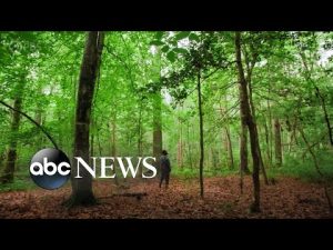 Read more about the article Exploring nature in ‘America Outdoors’ l ABCNL