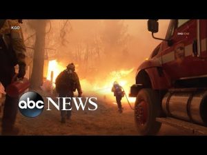 Read more about the article Massive California wildfire erupts