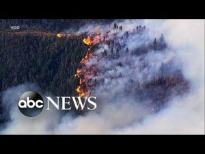 Read more about the article Oak Fire spreads over 6,500 acres in California