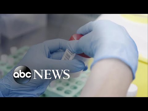 You are currently viewing WHO declares monkeypox a global emergency